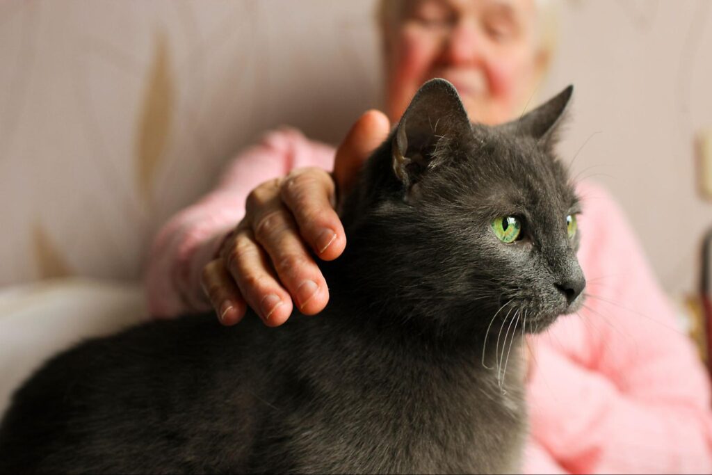 Beneficios de tener una mascota de compañía para personas mayores