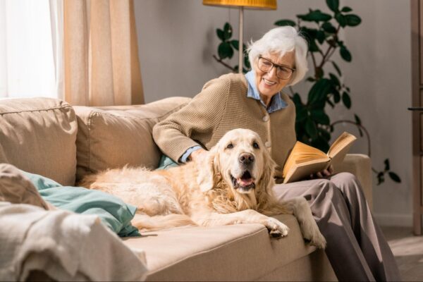 senior citizen programs