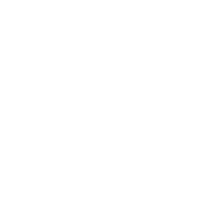 PACE-RI 20th anniversary logo - white